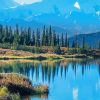 Wonder Lake Denali National Park Mountains Diamond Paintings