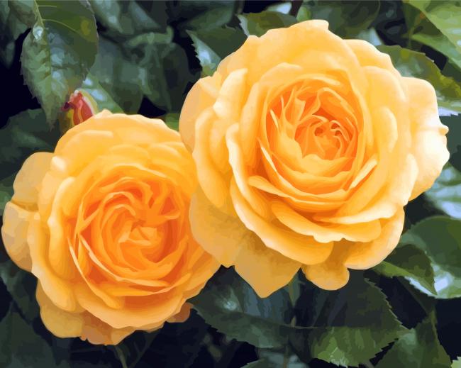 Yellow Floribundas Diamond Paintings