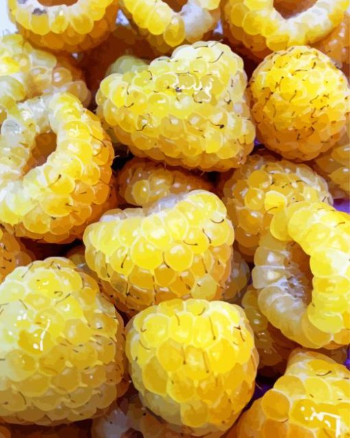 Yellow Raspberry Fruit Diamond Paintings