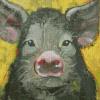 Black Pig Diamond Paintings