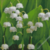 Lilly Of The Valleys Flowers Diamond Paintings