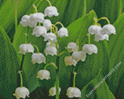 Lilly Of The Valleys Flowers Diamond Paintings