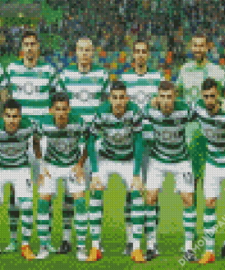 Sporting Team Diamond Paintings