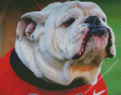 Aesthetic Georgia Bulldogs Diamond Paintings