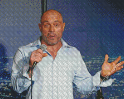 Aesthetic Joe Rogan Diamond Paintings