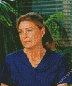 Aesthetic Meredith Grey Diamond Paintings