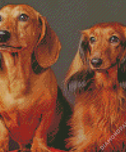 Aesthetic Red Dachshund Diamond Paintings