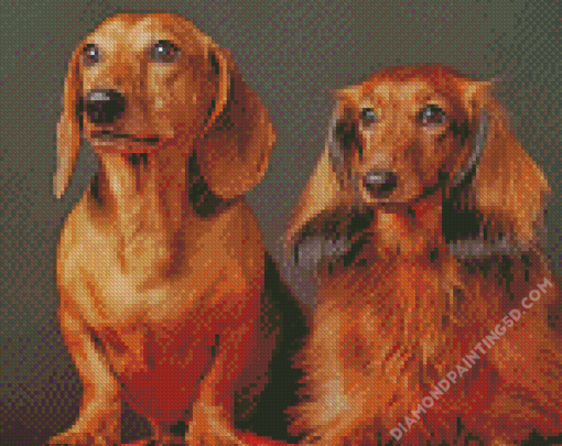 Aesthetic Red Dachshund Diamond Paintings