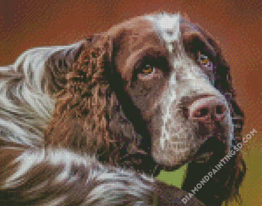 Aesthetic Springer Spaniel Diamond Paintings