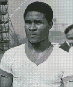 Aesthetic Eusebio Diamond Paintings