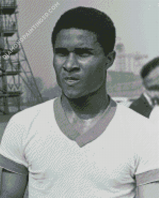 Aesthetic Eusebio Diamond Paintings