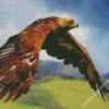 Aesthetic Golden Eagle Diamond Paintings