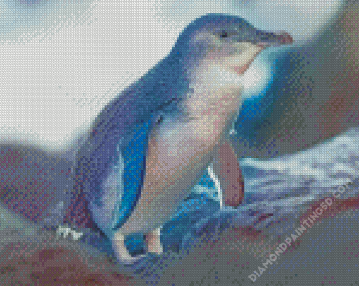 Fairy Penguin Diamond Paintings