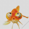 Funny Gold Fish Diamond Paintings