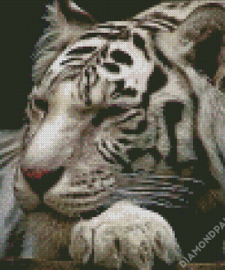 Sleepy White Siberian Tiger Diamond Paintings