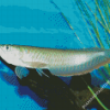 The Arowana Fish Diamond Paintings