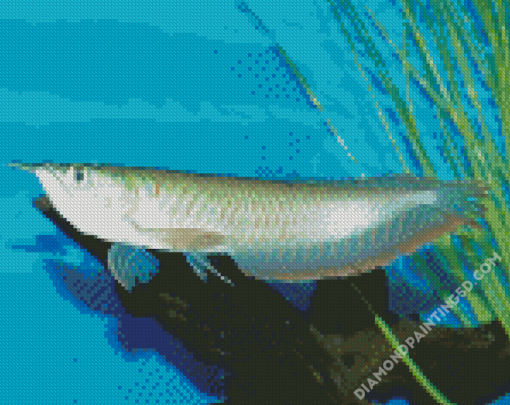 The Arowana Fish Diamond Paintings