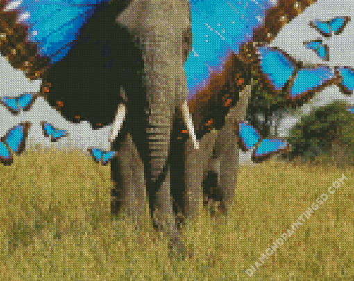 Blue Butterflies Elephant Diamond Paintings