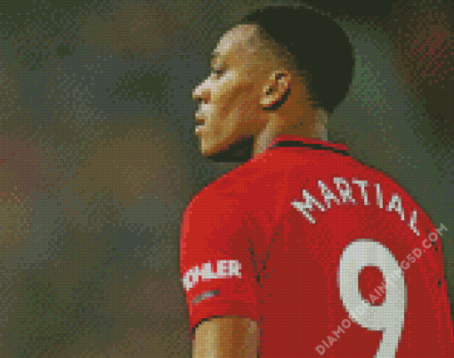 Aesthetic Anthony Martial Diamond Paintings