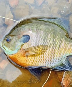 Aesthetic Bluegill Diamond Paintings