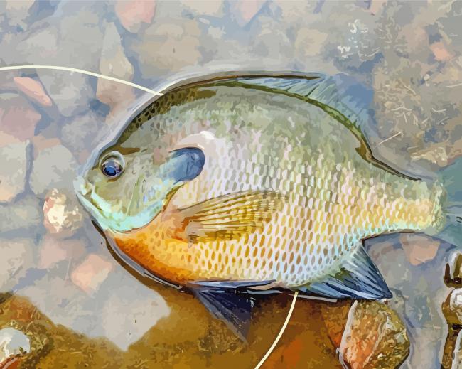 Aesthetic Bluegill Diamond Paintings