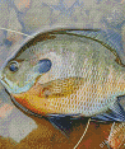 Aesthetic Bluegill Diamond Paintings