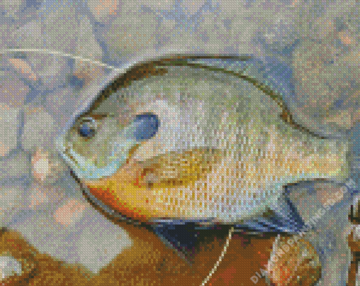 Aesthetic Bluegill Diamond Paintings