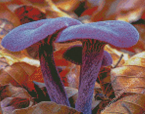 Aesthetic Purple Mushroom Diamond Paintings