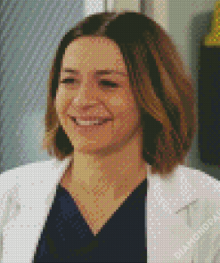 Amelia Shepherd Character Diamond Paintings