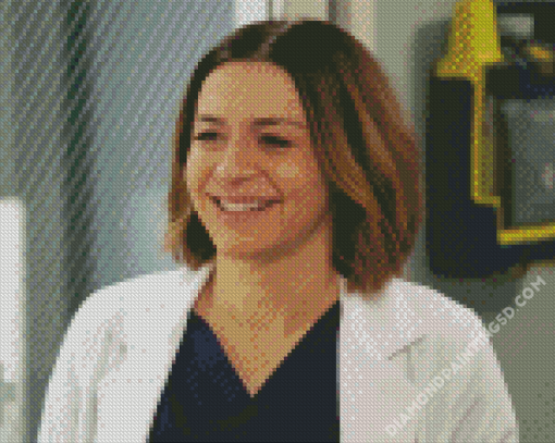 Amelia Shepherd Character Diamond Paintings