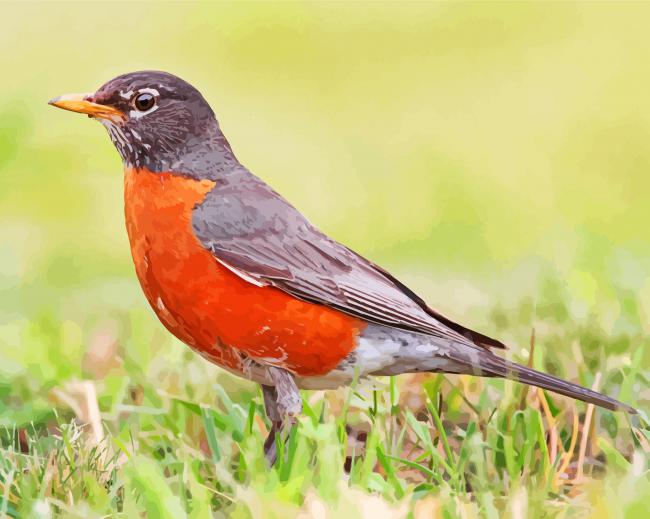 American Robin Bird Diamond Paintings