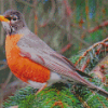 American Robin Birds Diamond Paintings