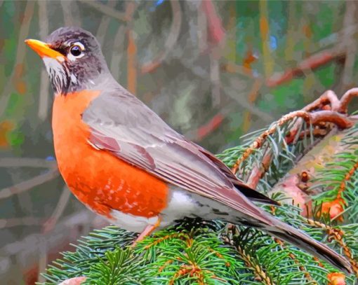 American Robin Birds Diamond Paintings