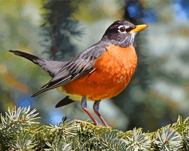 American Robin Diamond Paintings