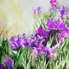 Aesthetic Iris Field Art Diamond Paintings