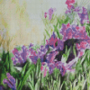 Aesthetic Iris Field Art Diamond Paintings