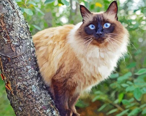 Balinese Cat Animal Diamond Paintings