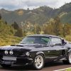 Black Mustang Eleanor Diamond Paintings