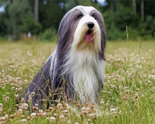 Black And White Bearded Collie Diamond Paintings