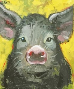 Black Pig Diamond Paintings