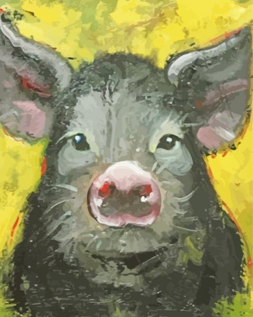 Black Pig Diamond Paintings