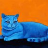 Blue Cat Diamond Paintings