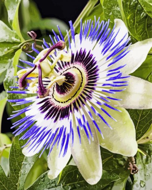 Blue Passion Flower Diamond Paintings