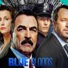 Blue Bloods Poster Diamond Paintings