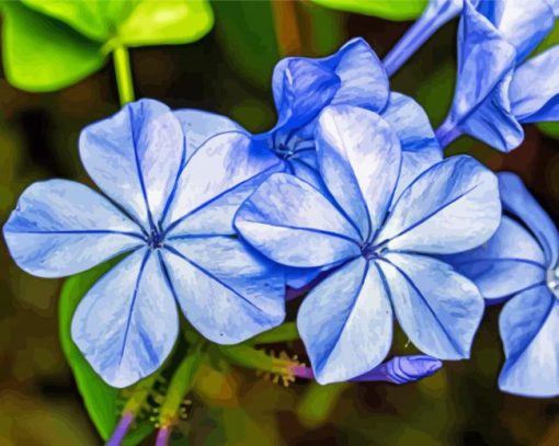 Blue Plumbago Diamond Paintings