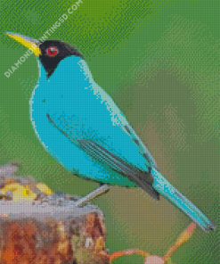 Blue Swallow Diamond Paintings