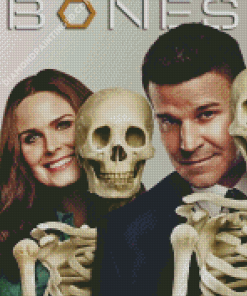 Booth And Brennan Bones Drama Serie Diamond Paintings