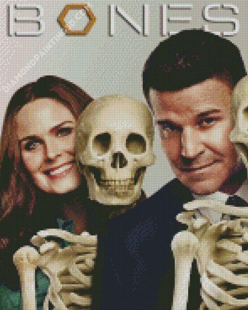 Booth And Brennan Bones Drama Serie Diamond Paintings