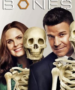 Booth And Brennan Bones Drama Serie Diamond Paintings