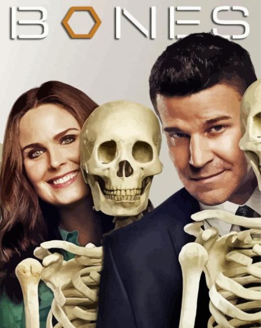 Booth And Brennan Bones Drama Serie Diamond Paintings